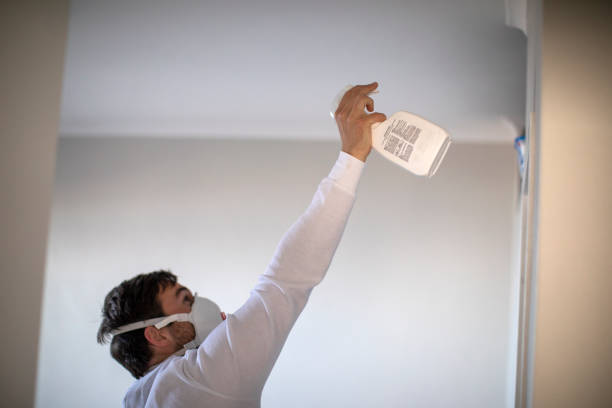 Best Mold Remediation  in Sterling, IL